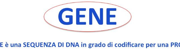 gene blu
